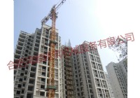 阿奎利亞四組團81#樓塔機及施工電梯項目