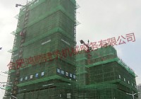 濱湖向上城組群塔機(jī)及施工升降機(jī)項(xiàng)目