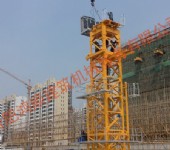 金輝地產(chǎn)住宅產(chǎn)業(yè)化項目-福建卓越建設(shè)PT7520-16